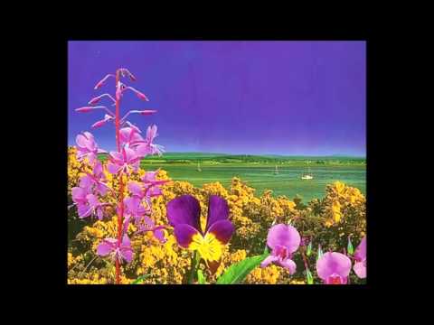 A Bruxaria — Meditação de Positividade e Tranquilização