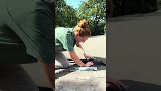 Small gaps - big opening for wildlife 🦝