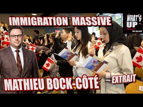 Immigration MASSIVE / Mathieu Bock-Côté / What's Up Podcast (Extrait)