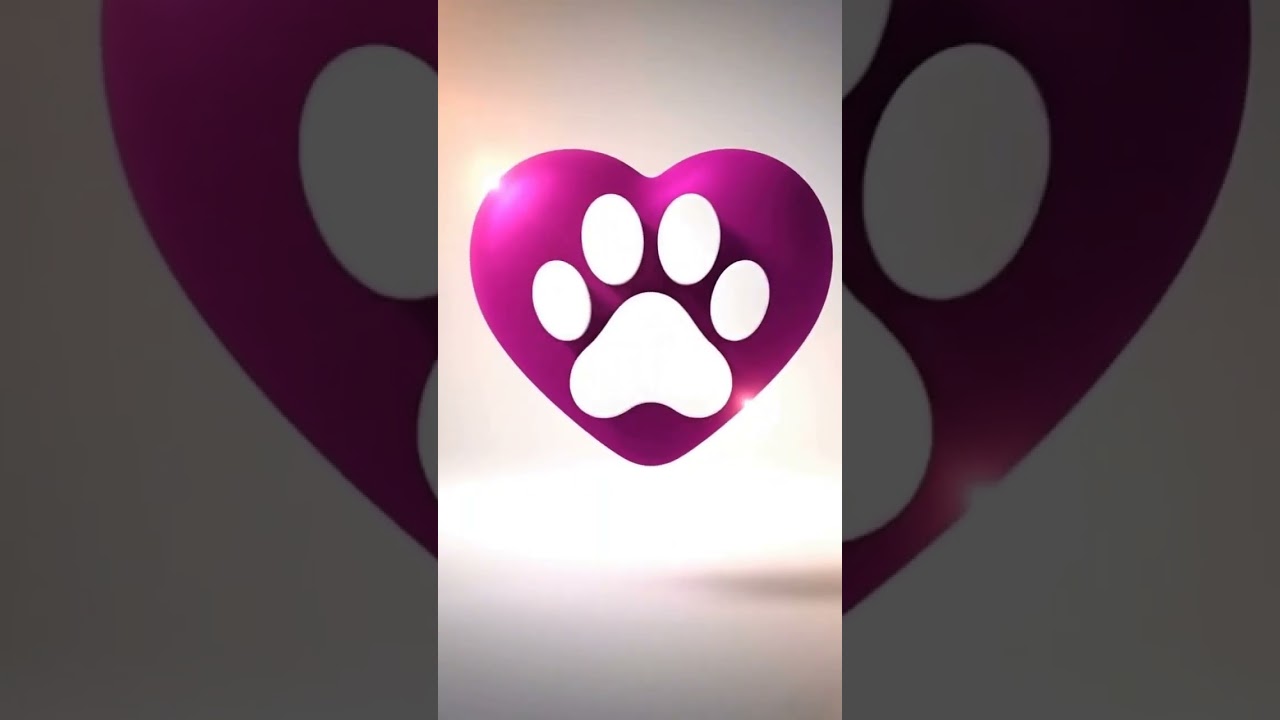 Cachorro raça SRD-ViraLata idade Abaixo de 2 meses nome Não tem nome