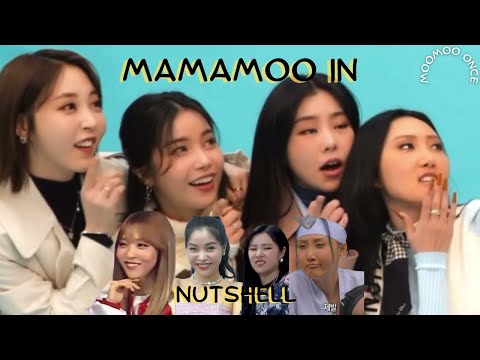 Mamamoo in nutshell for almost 5 minutes
