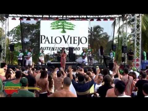 Palo Viejo Tribute Band feat. Nayka por puertoreggae.com