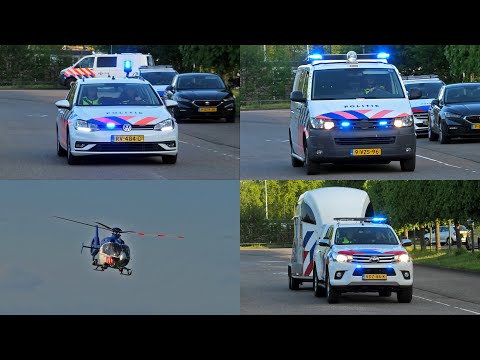 Grootschalige klopjacht in Elburg | Massale inzet politie voor Hunted in de binnenstad van Elburg