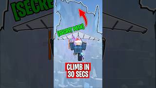 SECRET PATH To Climb Mountain FAST In Fisch