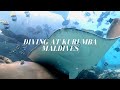 Scuba Diving at Kurumba Maldives, Euro-Divers Kurumba, Malediven