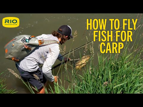 How To Fly Fish For Carp S5 E11