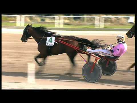 Trotto 25/10/2020 - 2ª corsa - G.P. Lotteria 1ª batteria