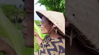 Download lagu saking pengen viral pare pait juga dmkn 🤦‍♂️ mp3