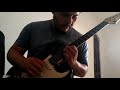 Stratocaster guitar