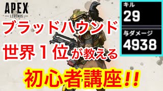 【APEX】初心者必見！野良で29キル！