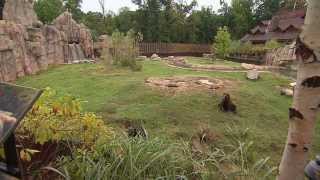 Memphis Zoo | Tennessee Crossroads