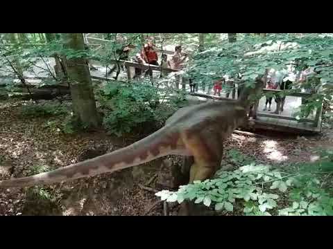 Dino park