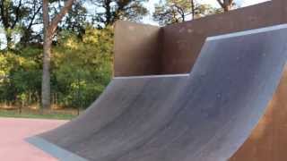 preview picture of video 'Bump to Bump Sasso Marconi Skate Park 2/10/13'