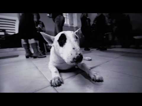 Lion's Law - Every Night (MUSIC VIDEO)