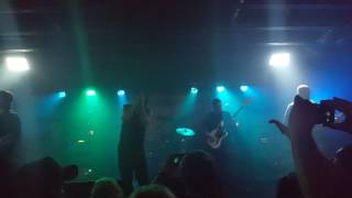 Insects live 10years june 2017