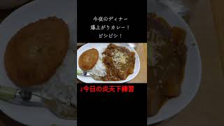 爆上がりカレー！ビシビシ！ #嵐 #dancevideo #料理 #政治 #cooking #自炊 #カレー #負けられない戦い  #エアロビクス #dance #おつまみ #夢ファンファーレ