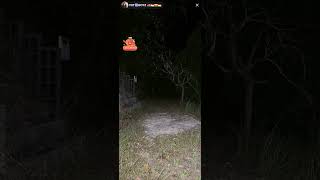 Download lagu PADU GILA ((MISTERI BUKIT MANOK TANJUNG PINANG)) TOT BOYZ,ARAZS,ZUL KIL,VLOG MUKASYAFAH PART 1/3 mp3