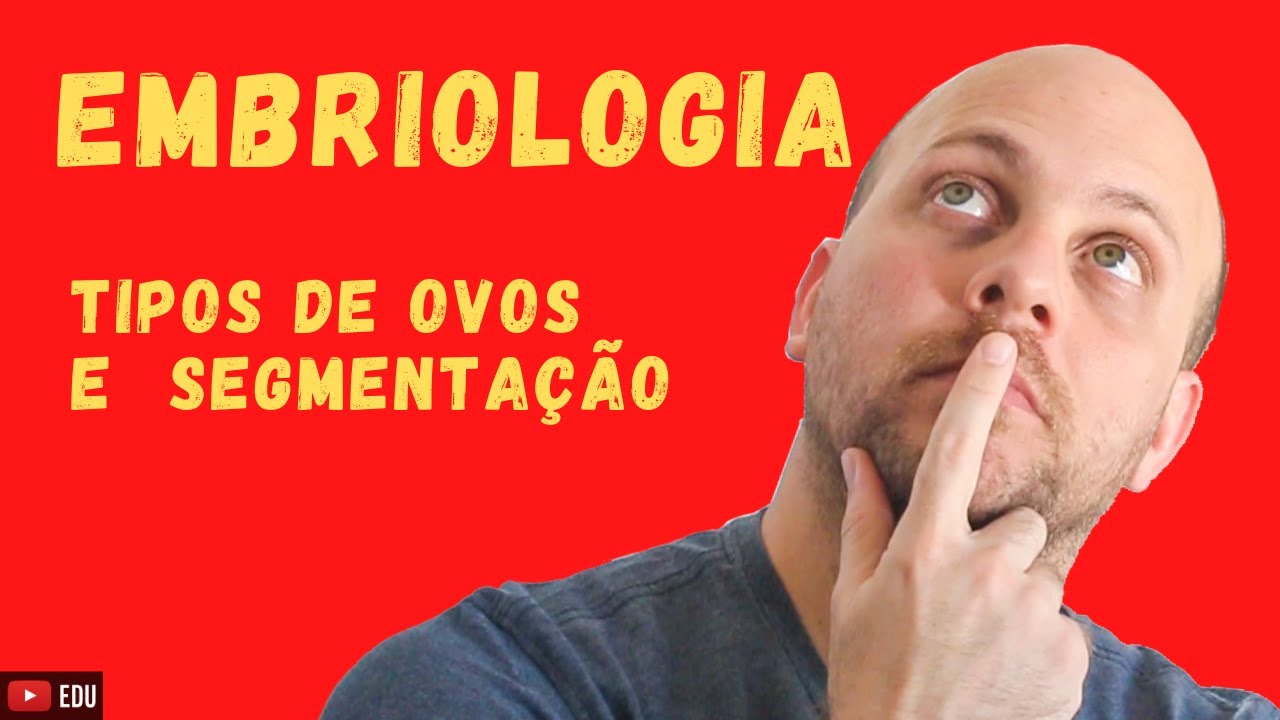 EMBRIOLOGIA| QUAIS SÃO OS TIPOS DE OVOS E SEGMENTAÇÃO?