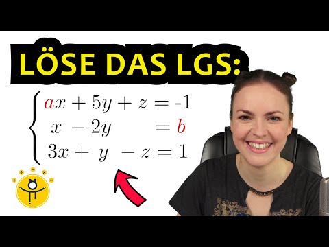 Gauß Algorithmus mit PARAMETER – Fallunterscheidung Gleichungssystem, LGS