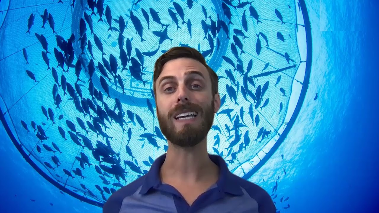 Tech, Transparency & the Future of Open Ocean Fish Farms