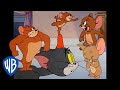 Tom Et Jerry En Français Jerry En Pleine Action WBKids