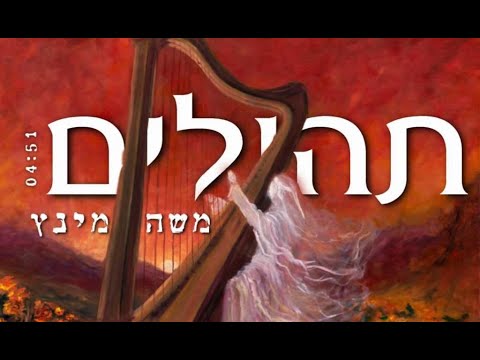 תהילים - משה מינץ | Moishe Mintz - Tehilim