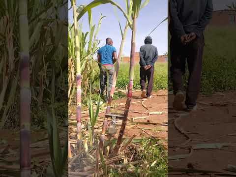 best funny video 😁😁😁😁😁😁