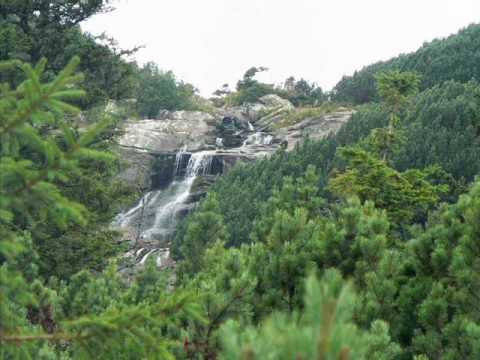 ŽELJENI HORI - Mirela MALI