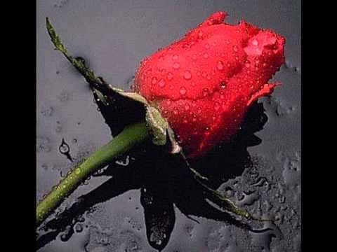 Nocni Skok-Od ljubavi nase ostalo je malo