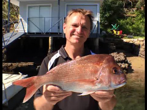 How to Clean a Snapper | The Hook and The Cook