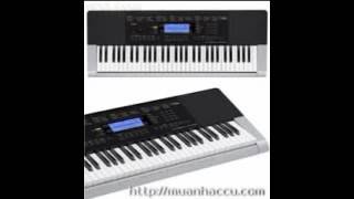 Leila et les chasseurs   Francis Cabrel [ORGAN]