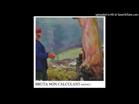 Bruta Non Calculant - Act Bravely