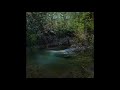 Angels of Light - Forever Yours