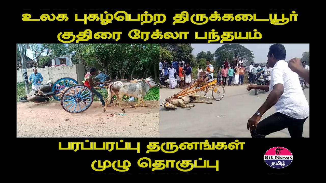 திருக்கடையூர் குதிரை ரேஸ் 2020 மற்றும் ரேக்ளா ரேஸ் பதட்டமான காட்சிகள்