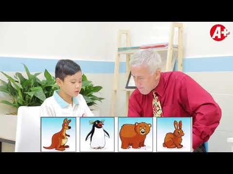 Movers Exam Preparation | Speaking Test Movers | A+ Center