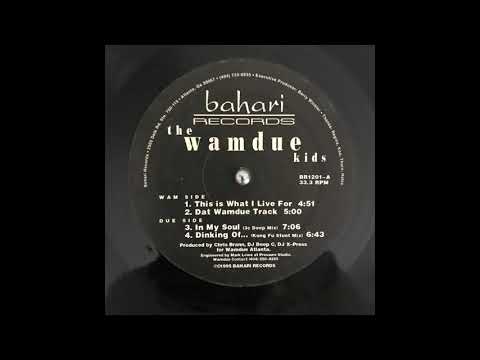 The Wamdue Kids - This is What I Live For