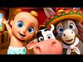 Vaca Lola Los Pollitos Y El Burrito Ruedas Del Autobus Canciones Infantiles Para Ninos