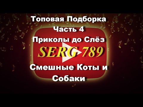 🔴Топовая подборка с Котами и Собаками(Часть 4) ✅Приколы до Слёз 🐱 🐶 🙂 👍✅