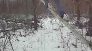 Natural Calamity-Dark water and stars.