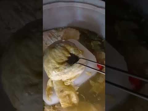 Kisli kupus  i rasol  zdravlje čuva