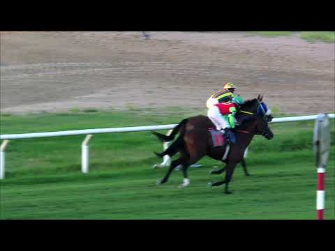 210213 c07 MIL FOLHAS LP