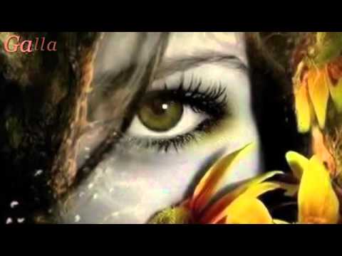 Nasri Razazi   Har tom dawe New 2010 kurdish music   YouTube