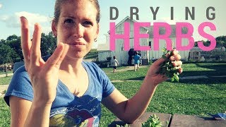 Drying Herbs (and Storing Them for Winter)