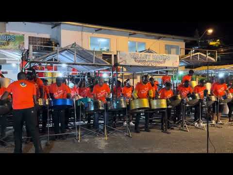 Medium Band Panorama 2025: Valley Harps Steel Orchestra