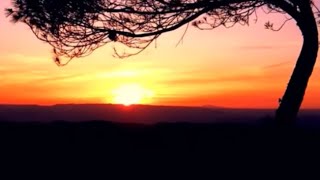 Yanni - Whispers In The Dark