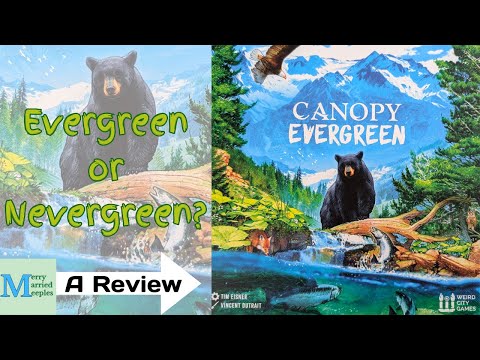 Canopy Evergreen Review - Evergreen or Nevergreen?