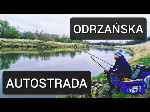 294 ODRZAŃSKA AUTOSTRADA❗