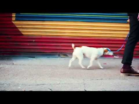 Nueva Colección Clarks Otoño/Invierno 2014/15