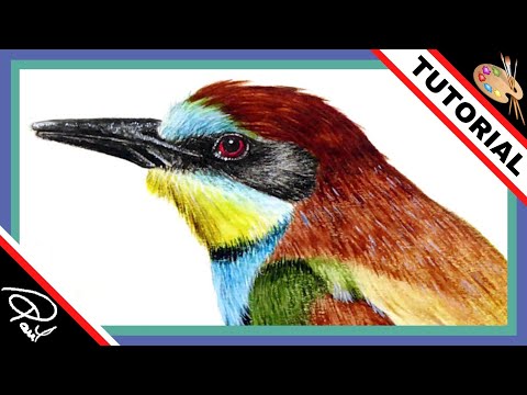 Thumbnail of Learn to paint a Bee-eater bird in Watercolour!