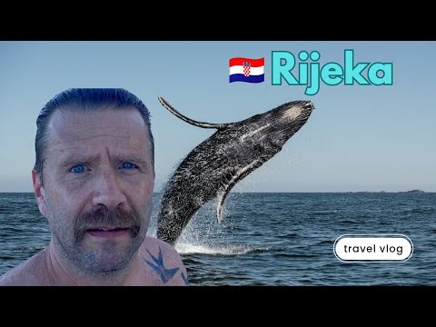 KOD ALENA U GOSTIMA❗